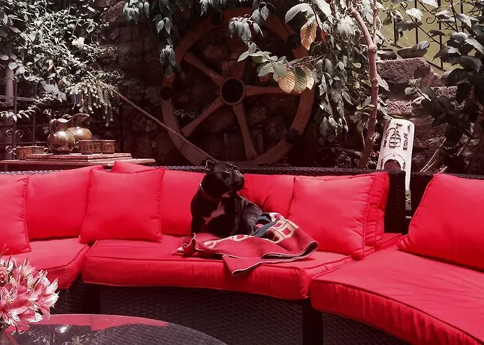 Blacky And (adults Only)